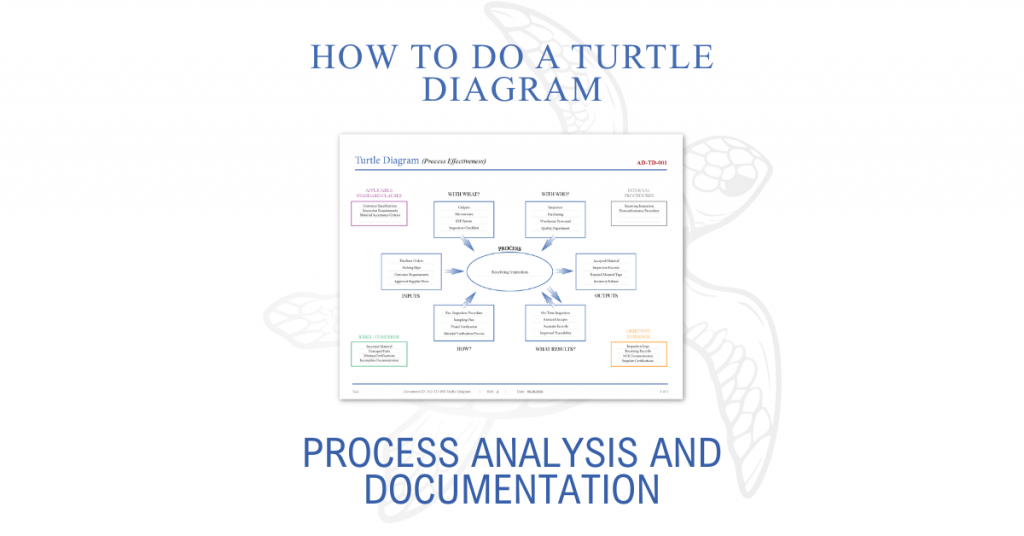 How to Do a Turtle Diagram for Process Analysis and Documentation